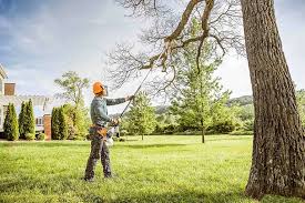 Best Tree Health Inspection  in Woodruff, SC