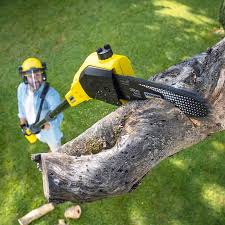 Lawn Maintenance Plans in Woodruff, SC